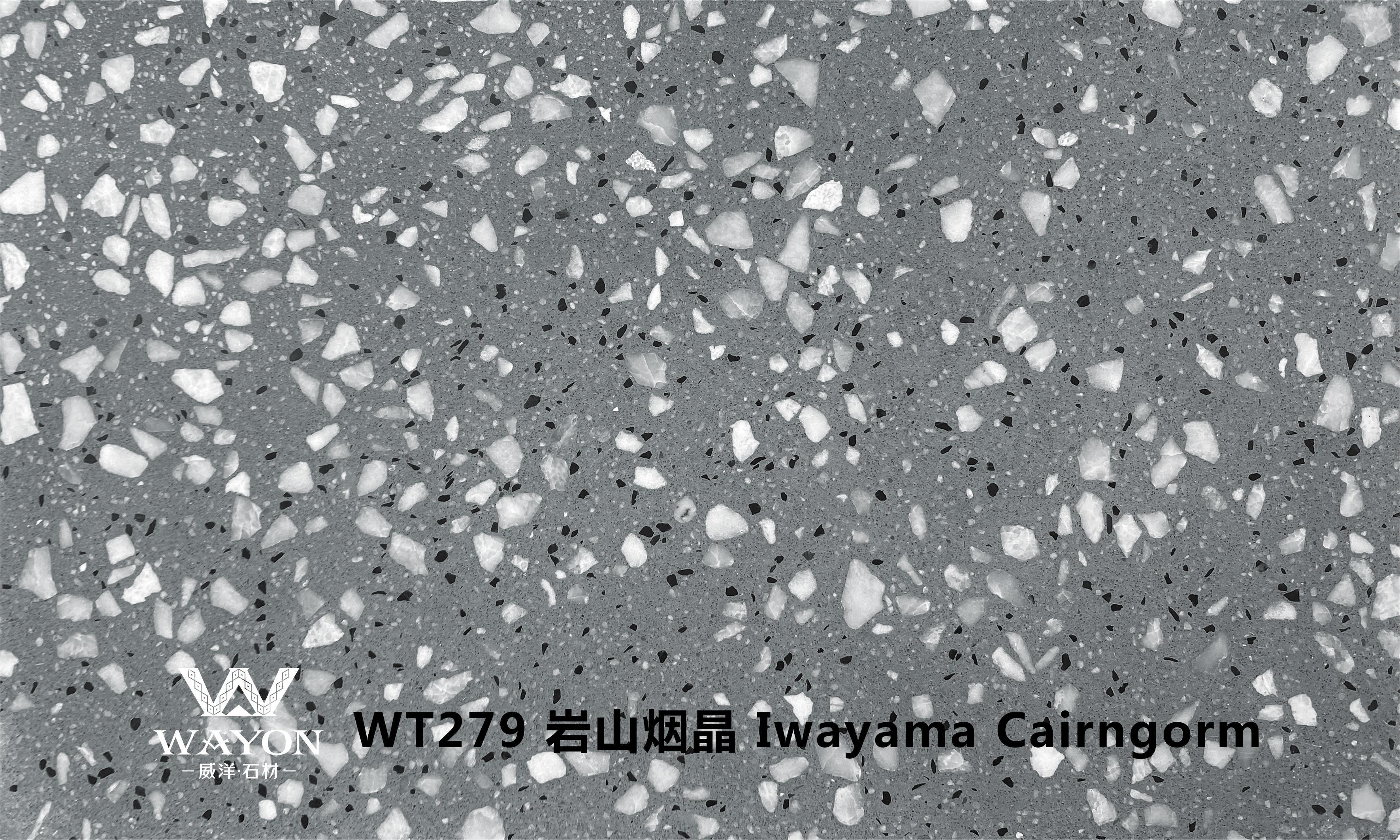 WT279 Cairngorm de Iwayama