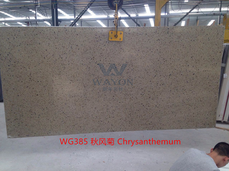 WG385 Crisantemo