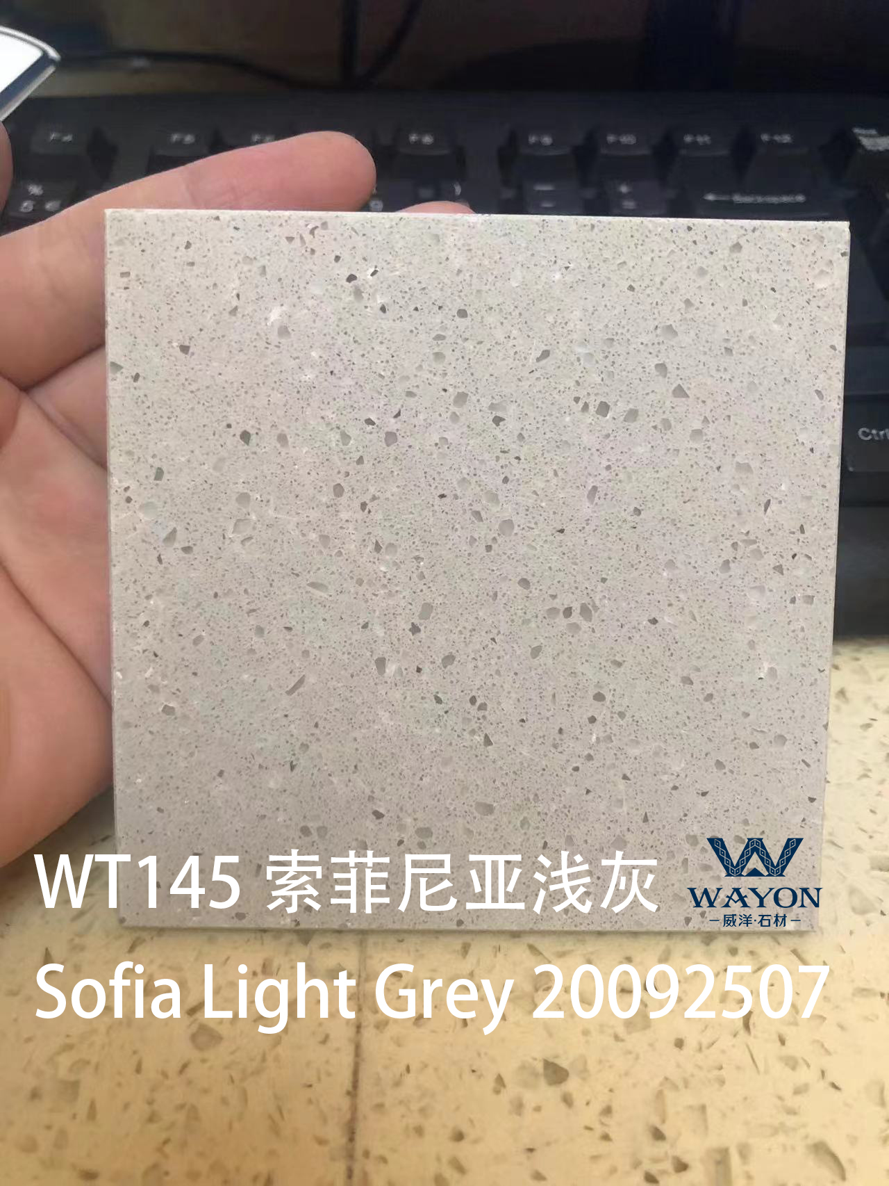 WT145 Sofía Gris Claro