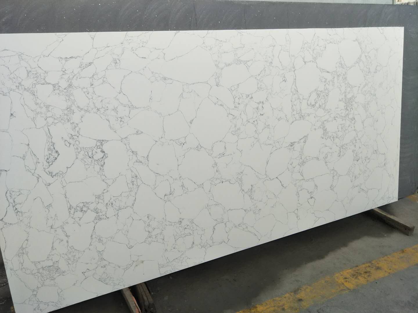 WBG376 Blanco Venado