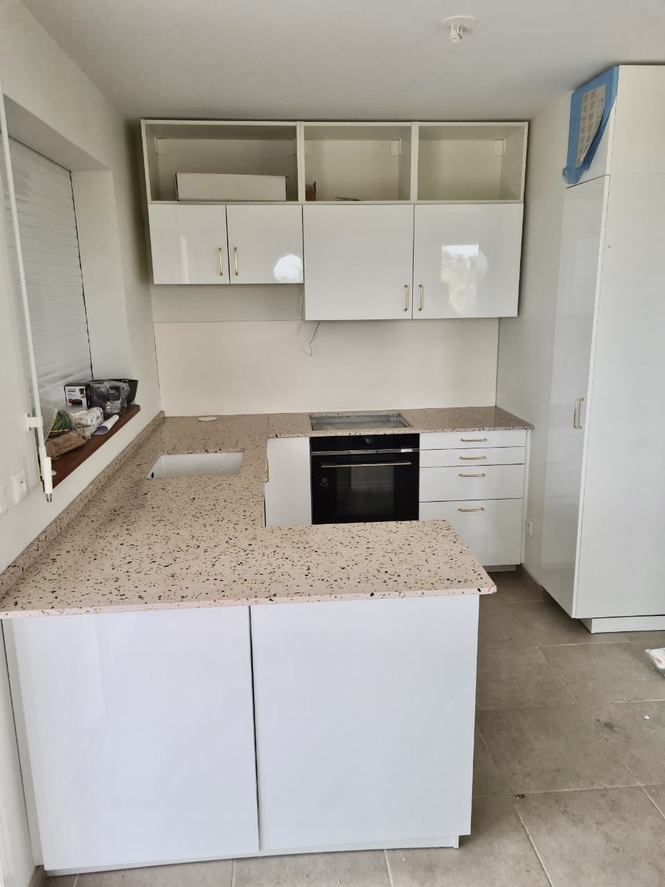 WT250 Rosa Romana