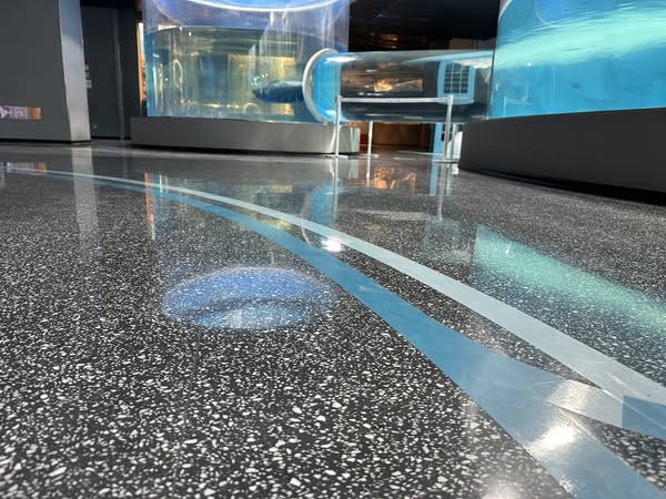 [Espacios Marinos] Soluciones de Rendimiento de Terrazo Personalizadas