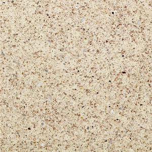 WG340 Champagne | WAYON STONE provide quartz countertops